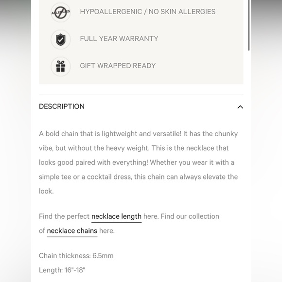 Rellery chunky Paperclip necklace - Picture 8 of 8